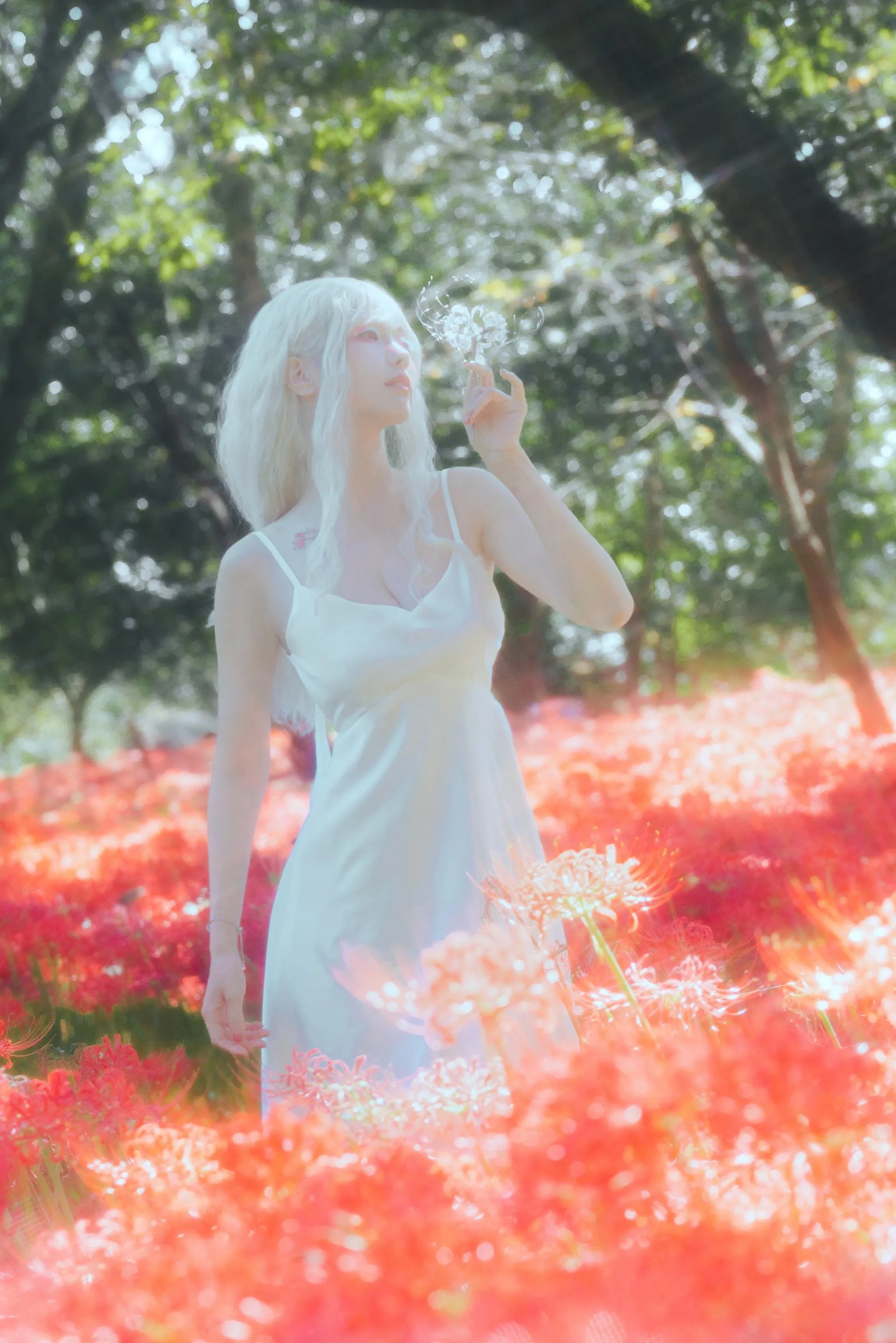 ElyEE子 – NO.129 23年10月订阅-B-White spider lily 白瓷彼岸 [27P]插图5